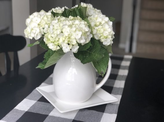 Sweet Carolina 30 Day Hydrangeas